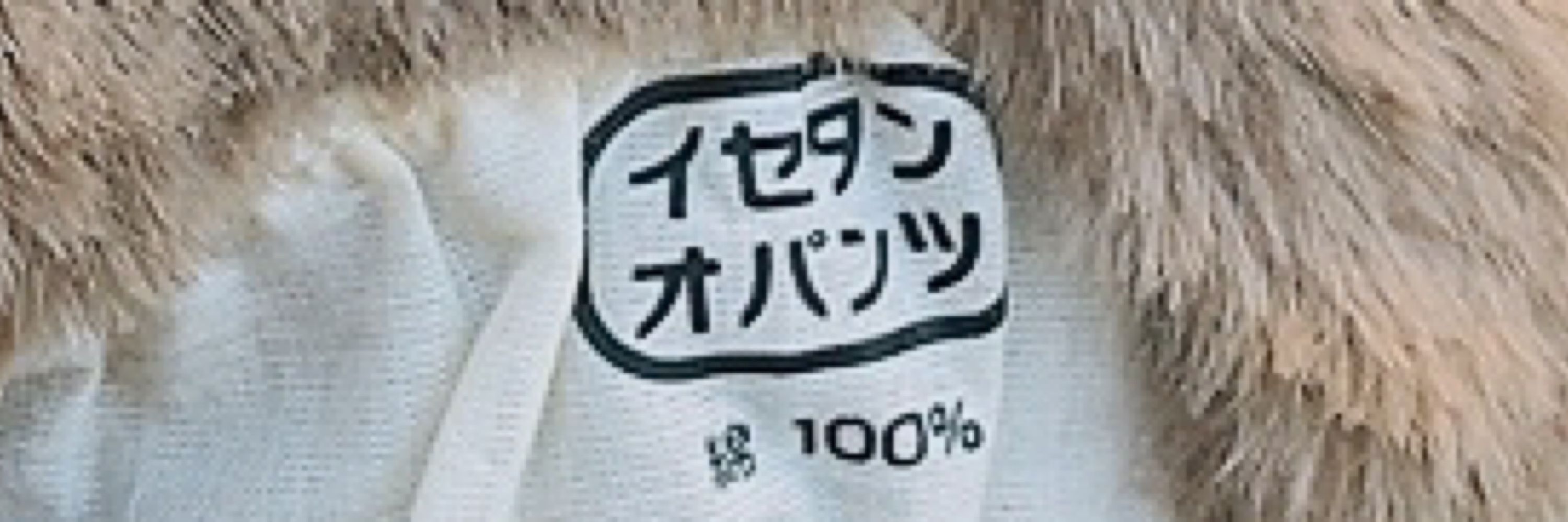 嫁子