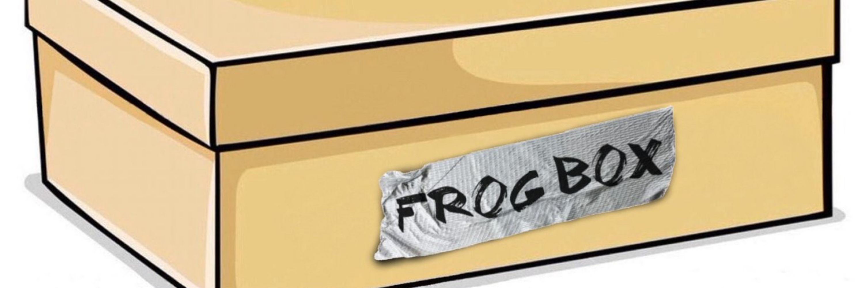 Frog Homeless