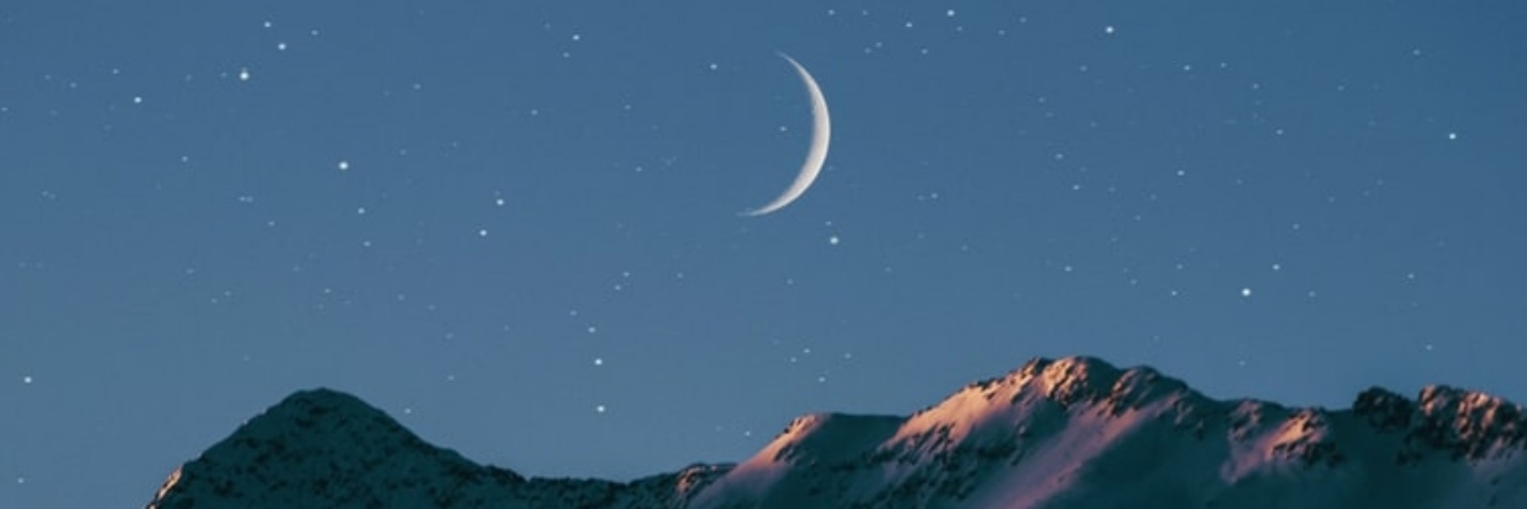 로곰°*.°✧