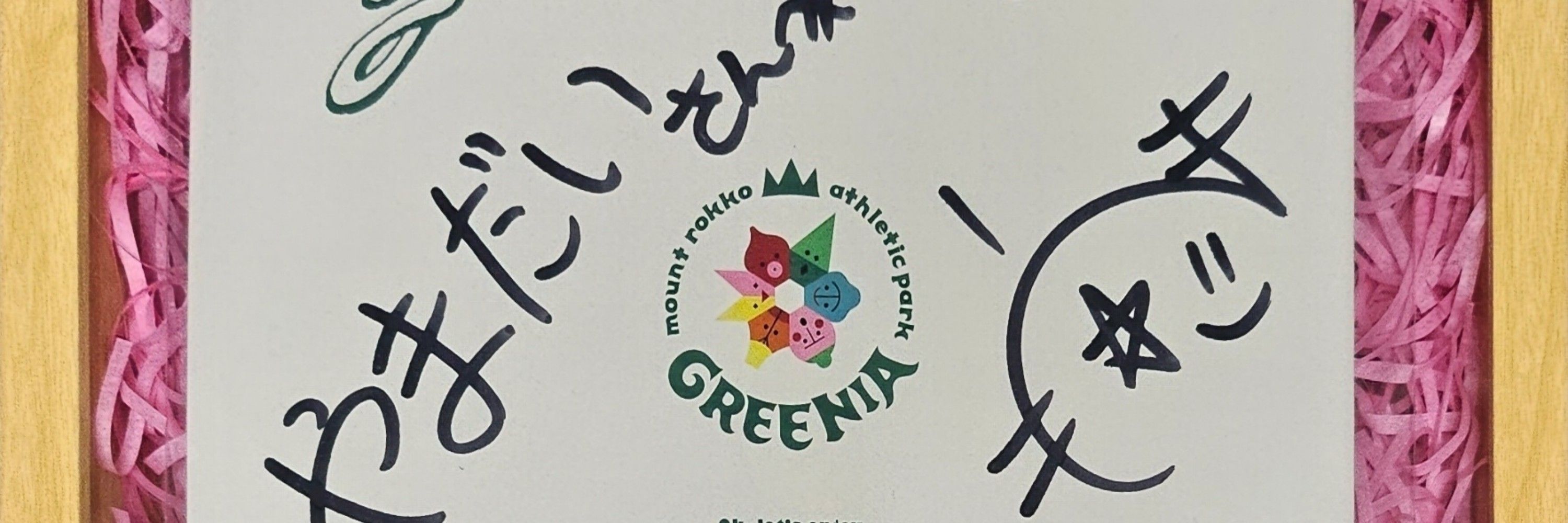 やまだい