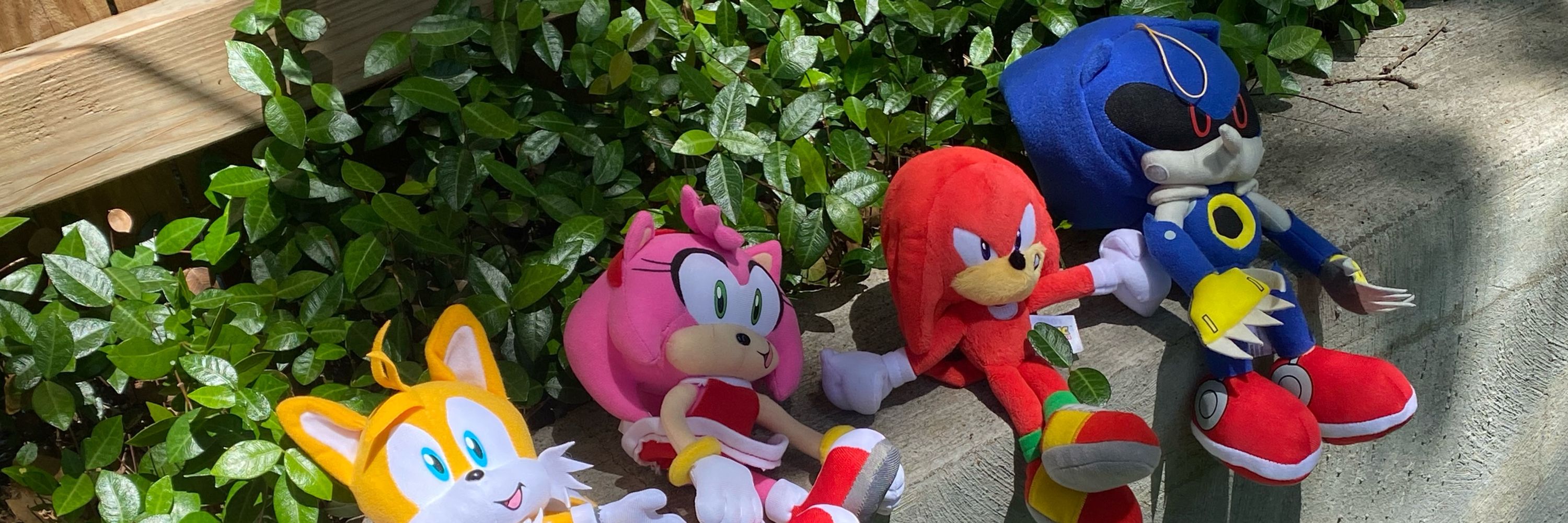 Sonic Codex