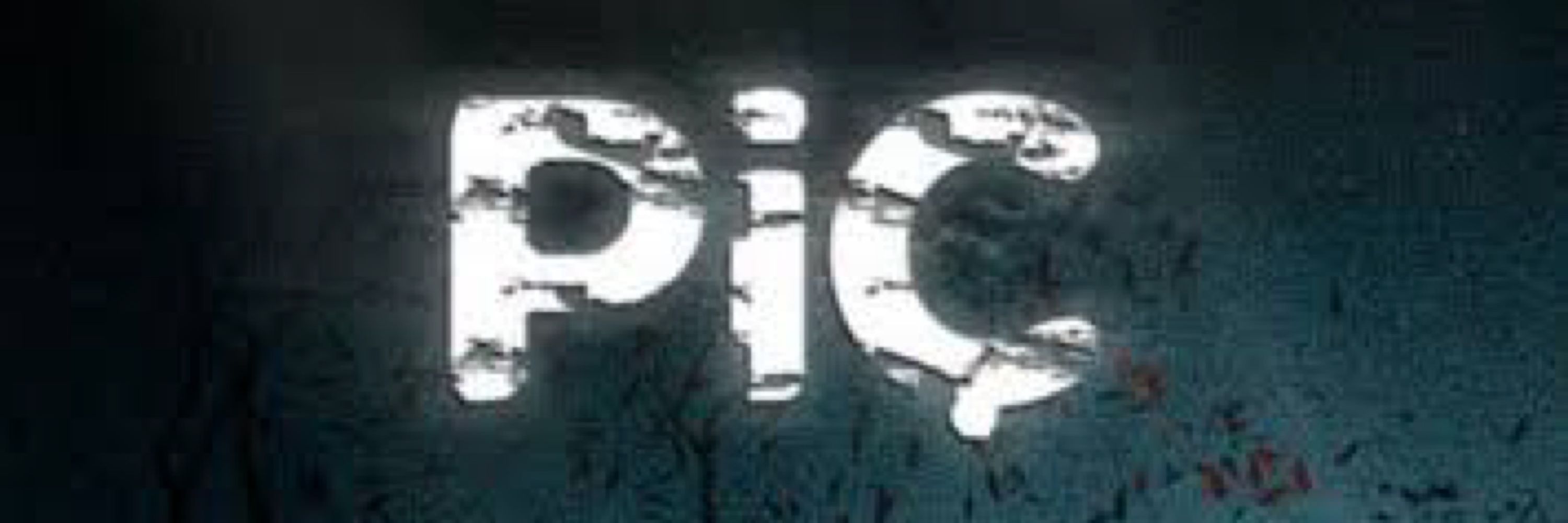 Piç Adam