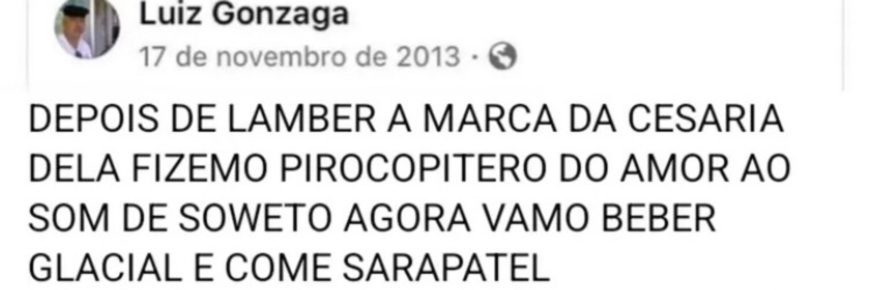 salamandra amarela_