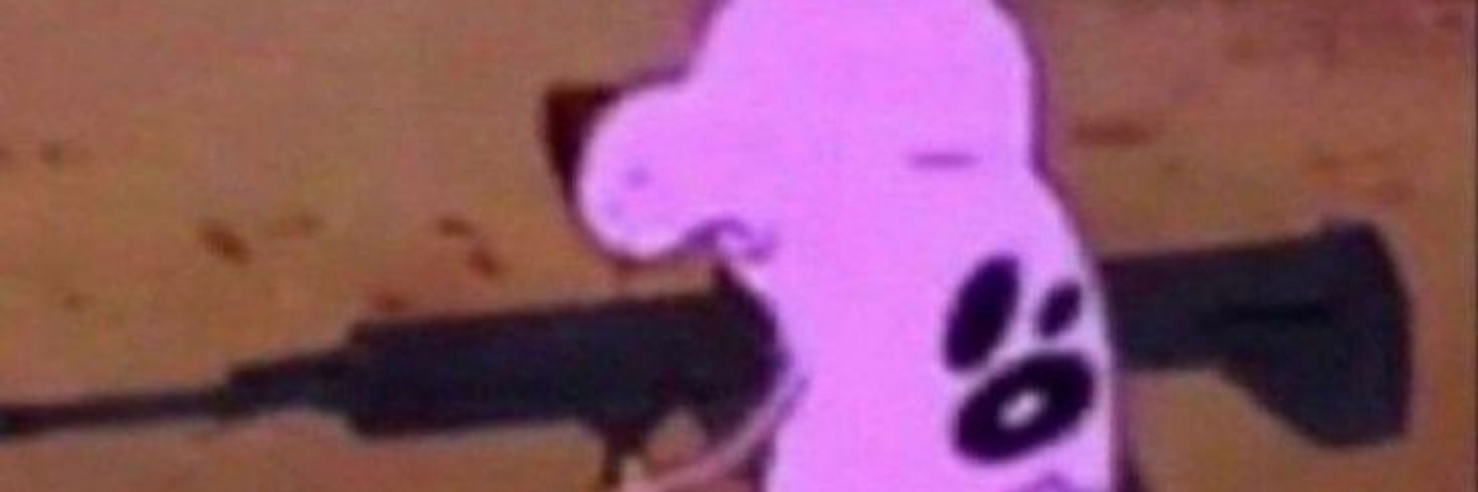 Drisuboy