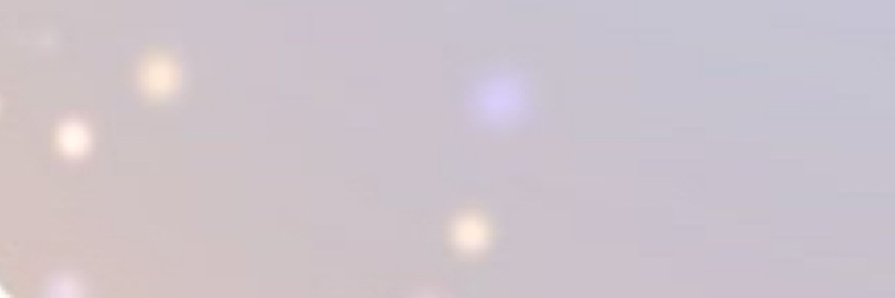 加太ブリコ