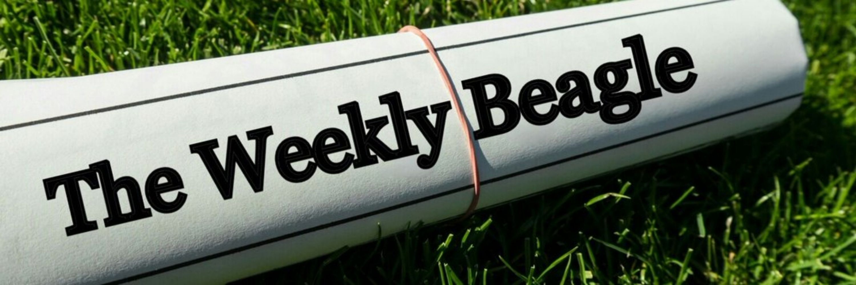 The Weekly Beagle