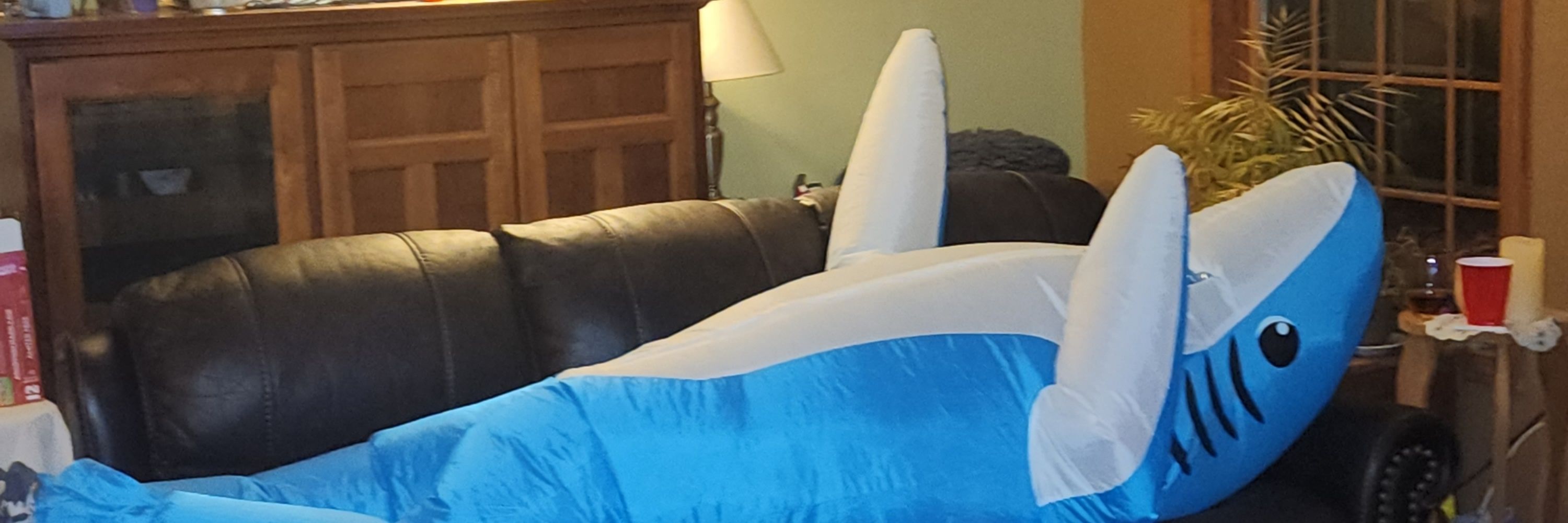 eli 🦈
