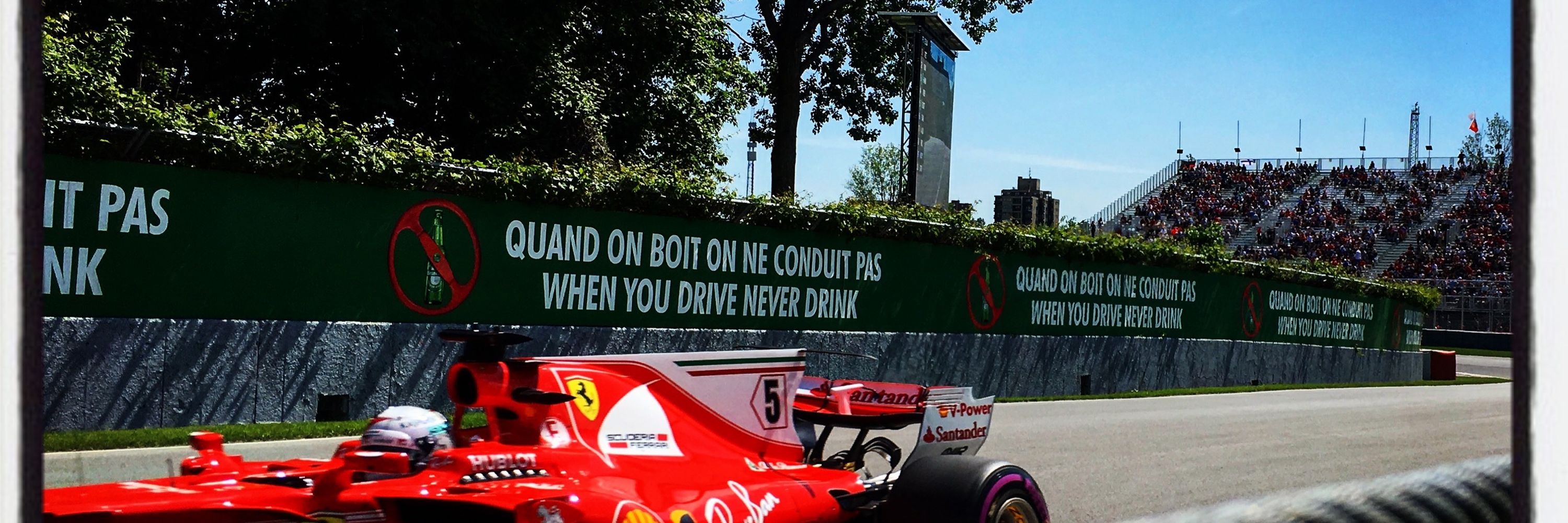 f1ferret
