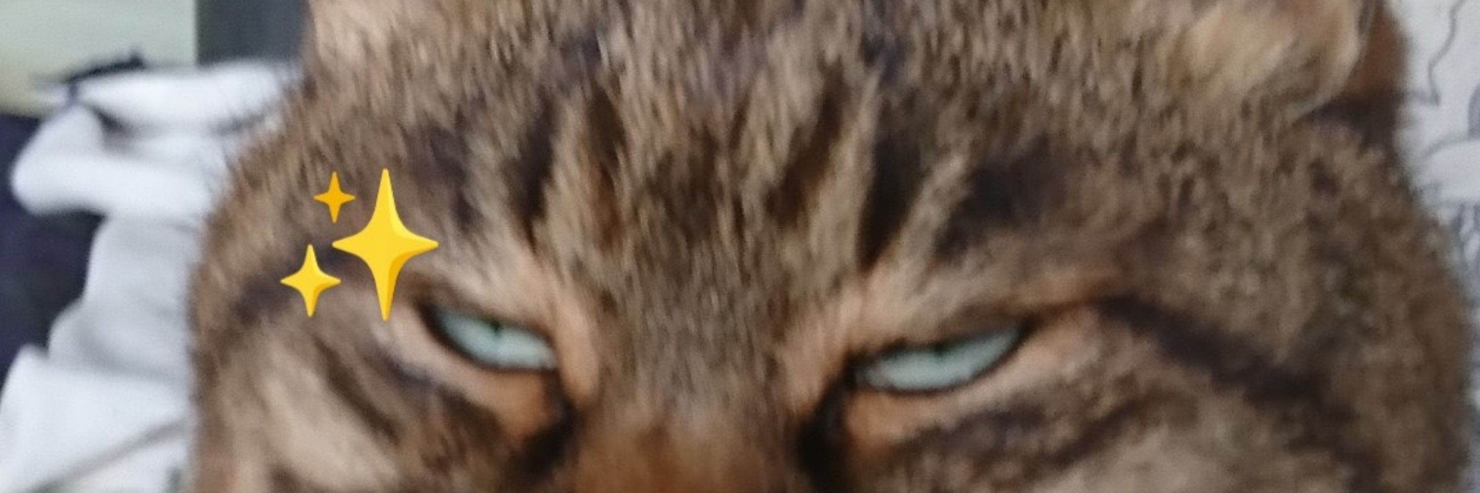 メッタ