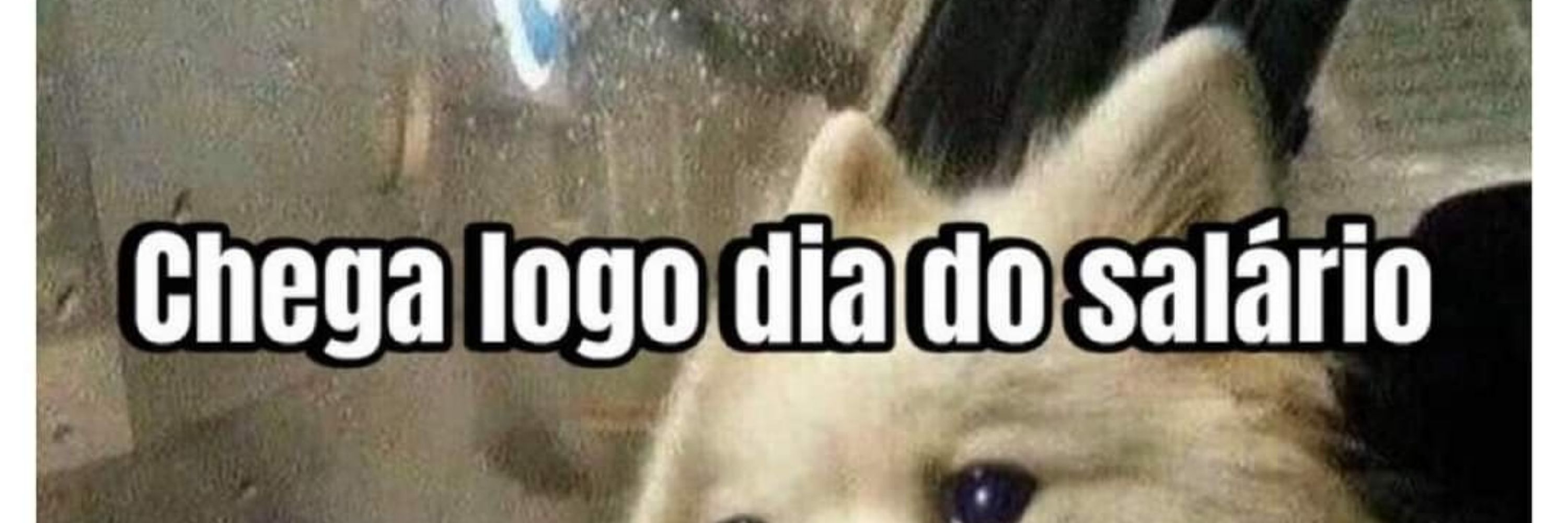 nijô.oba🔥