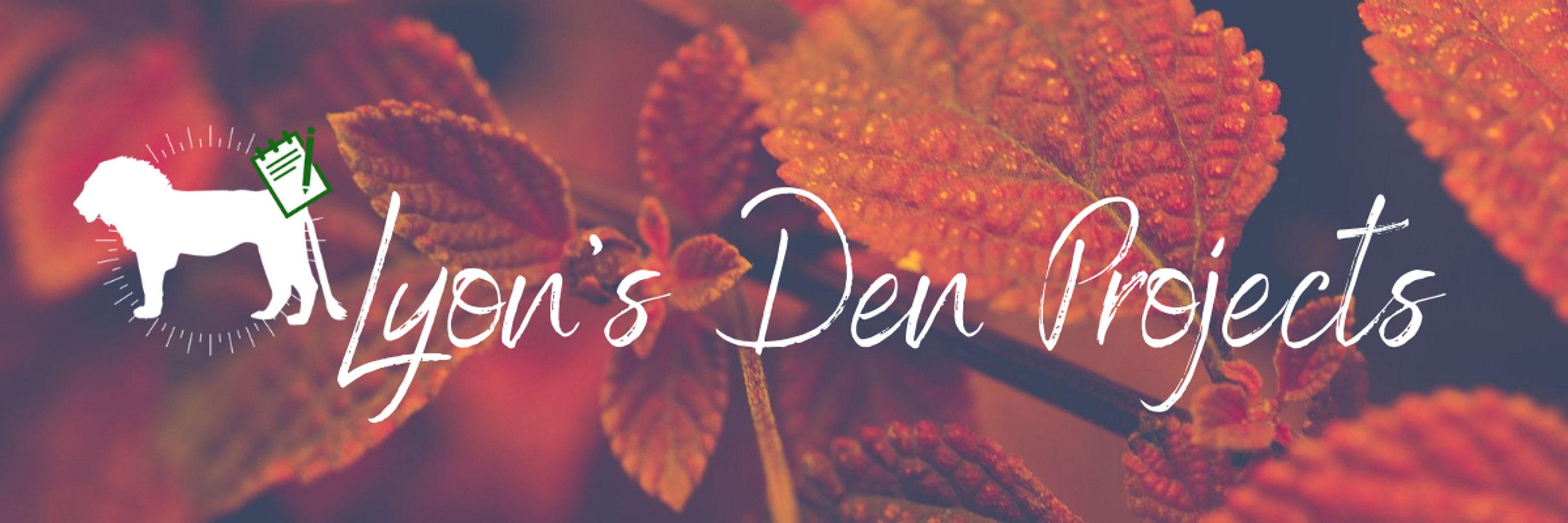 Ryn | Lyon's Den Projects