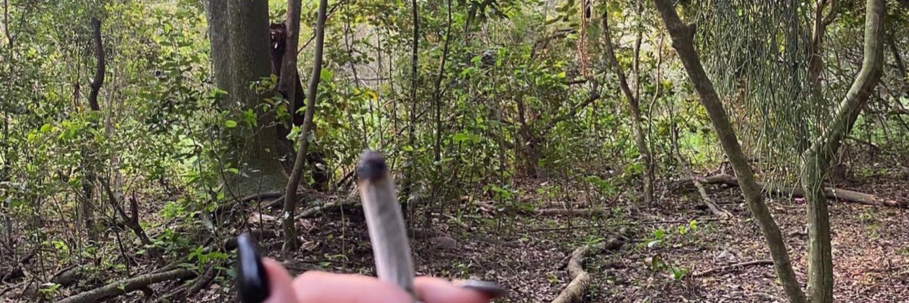 ananda carolina🍁