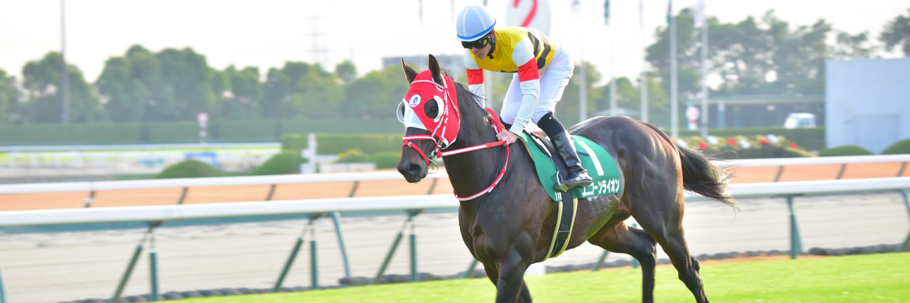 友香(ともか) 避難先