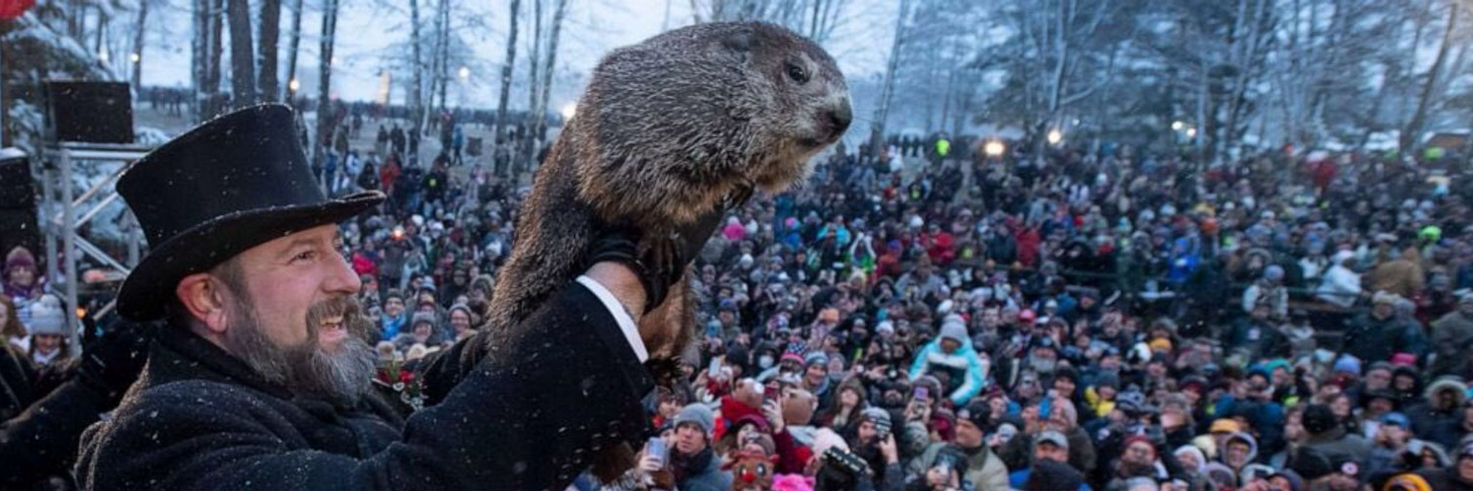 Fuzzy Groundhog