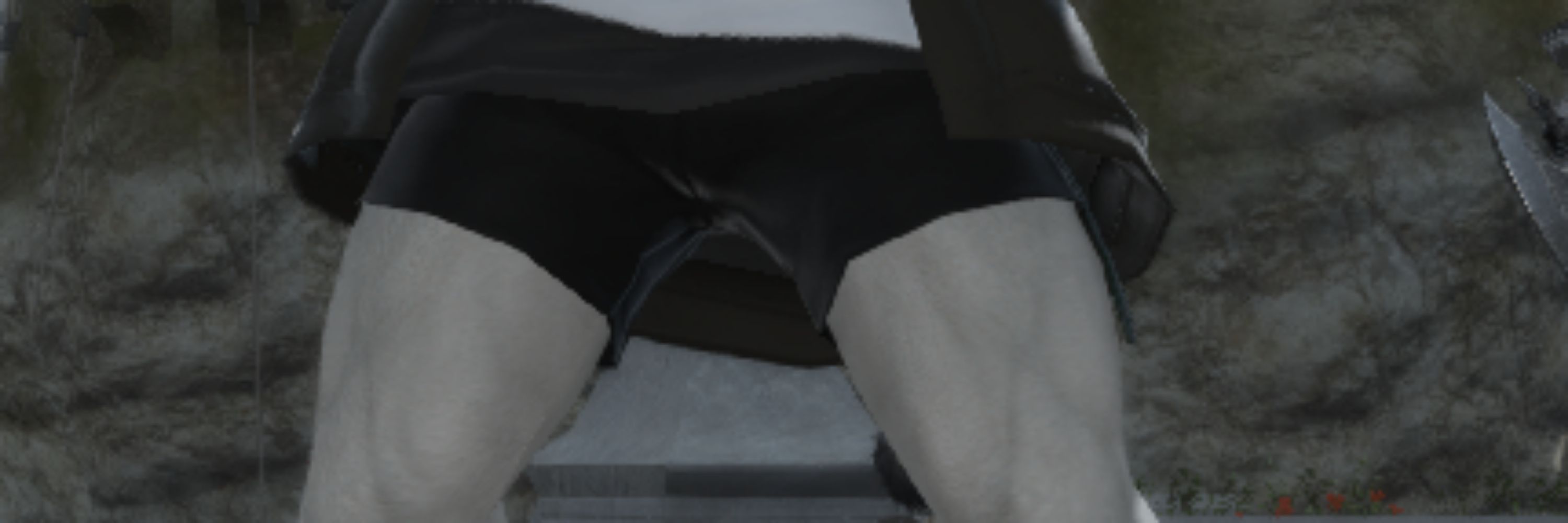 Tora_Tai