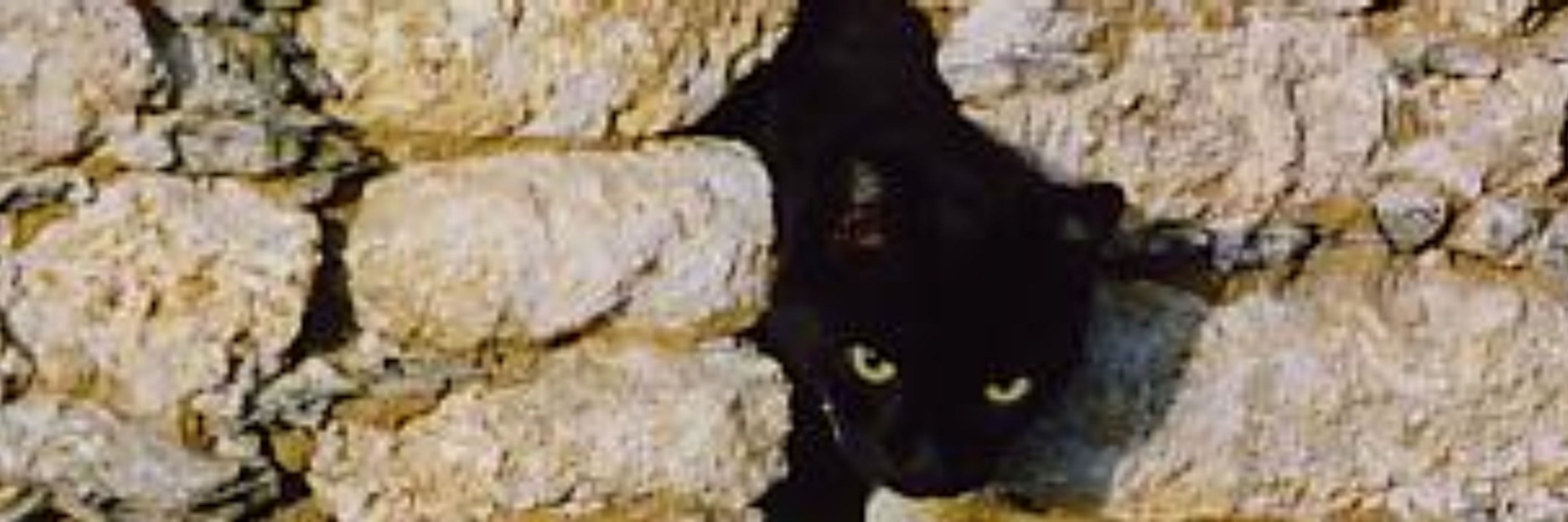 Lôtre