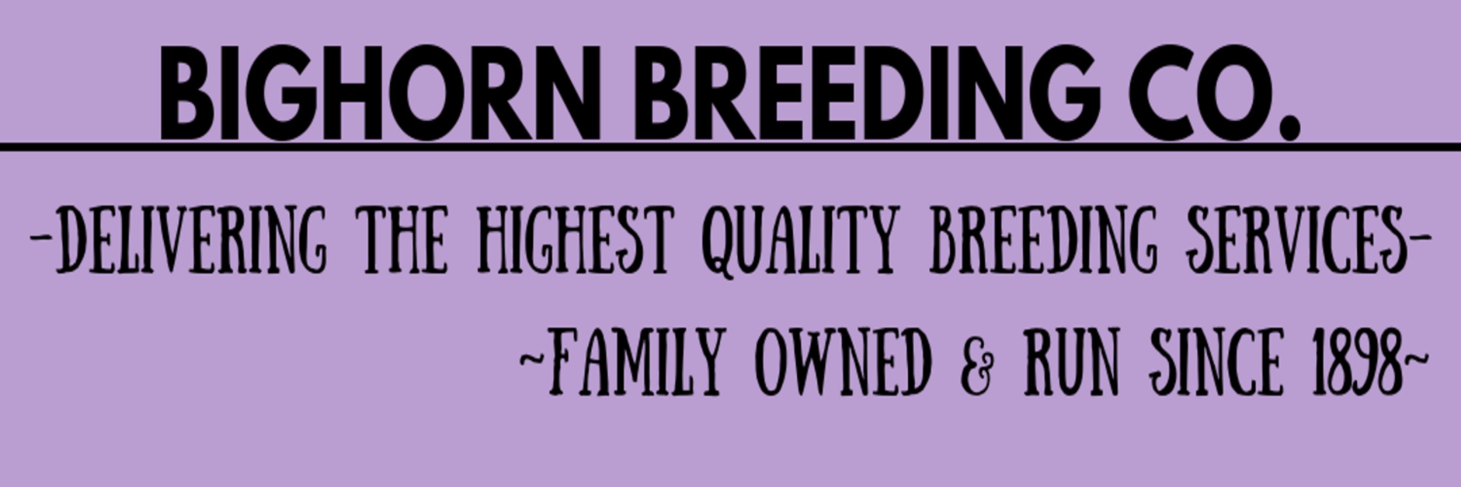Bighorn Breeding CO.
