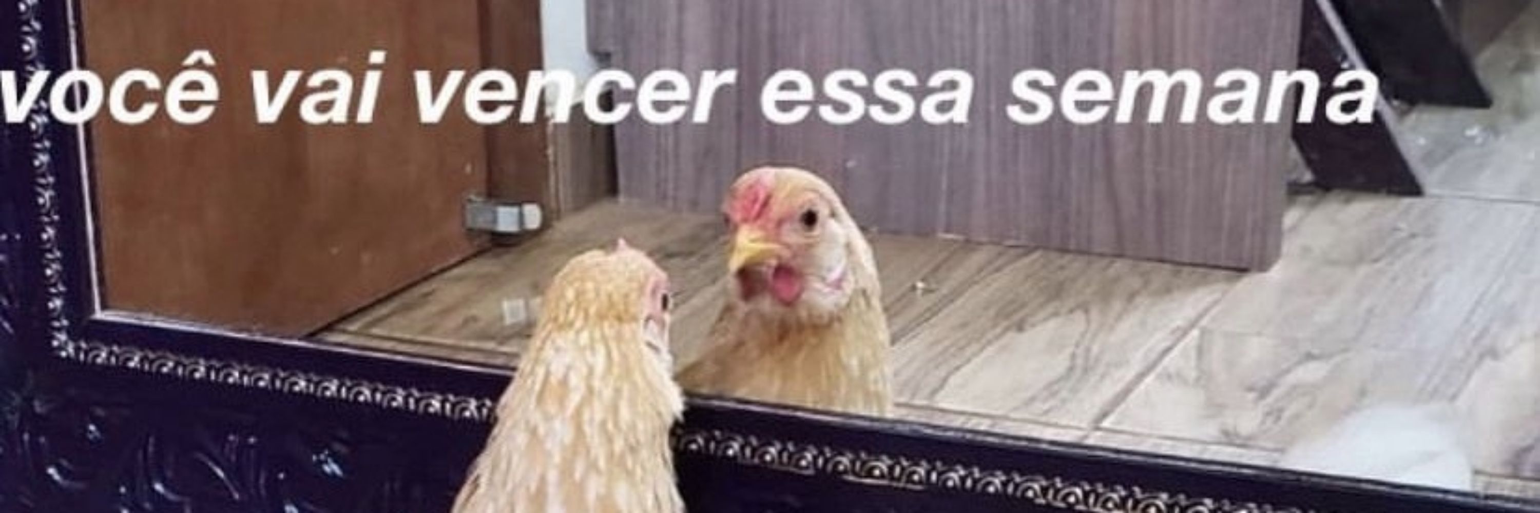 ajaque