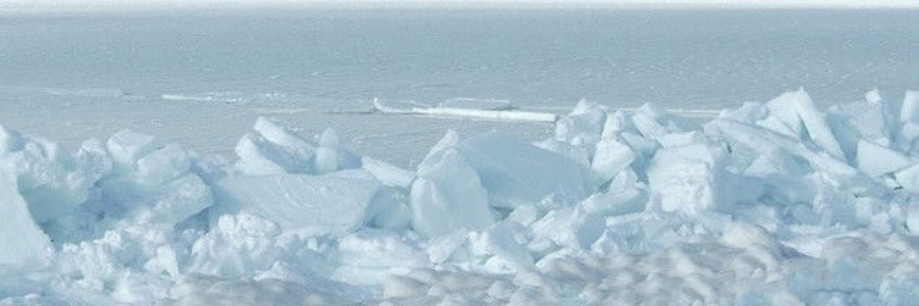 Frost Zone Stories