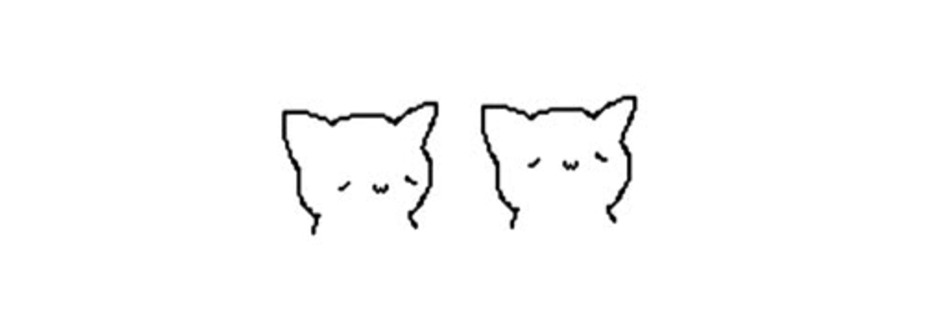Мякотка профессиональный шиппер