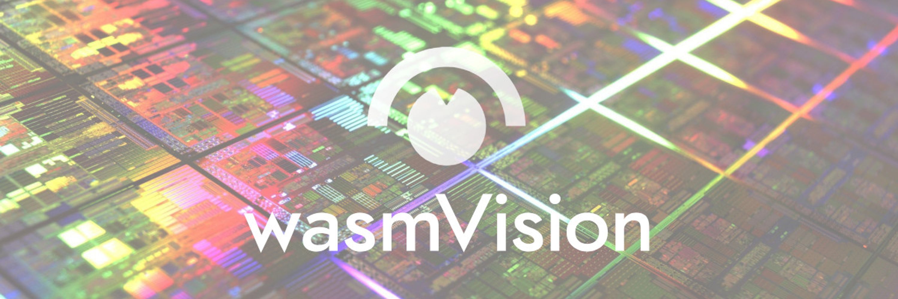 wasmVision