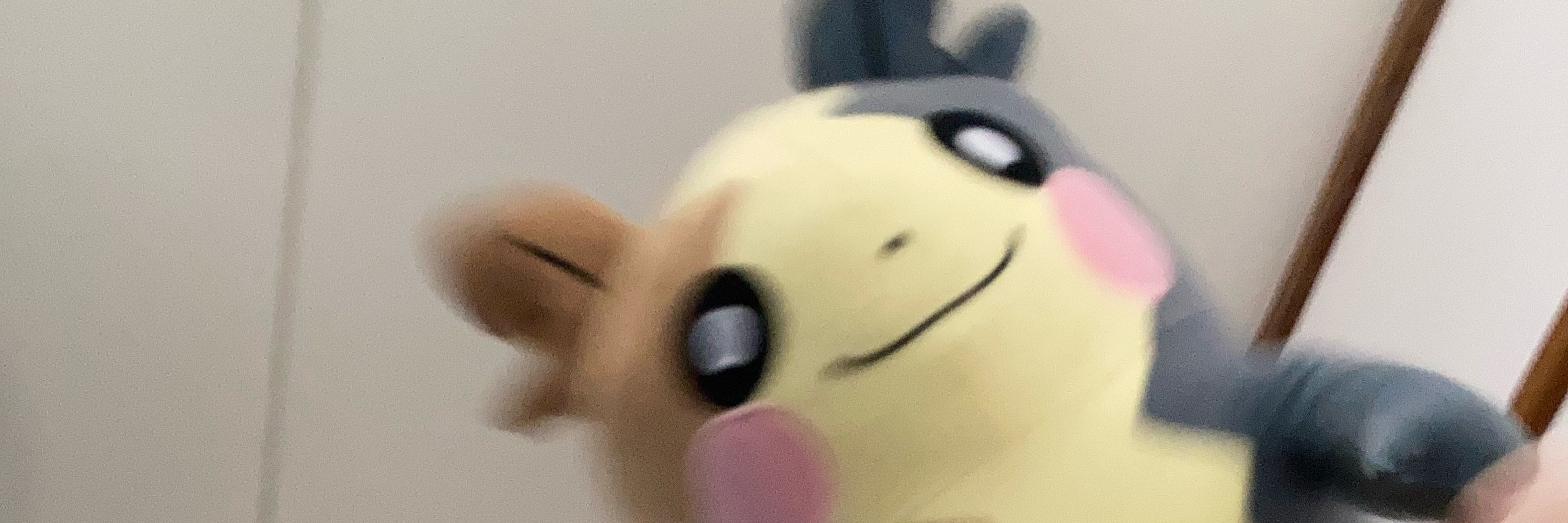 のちこ