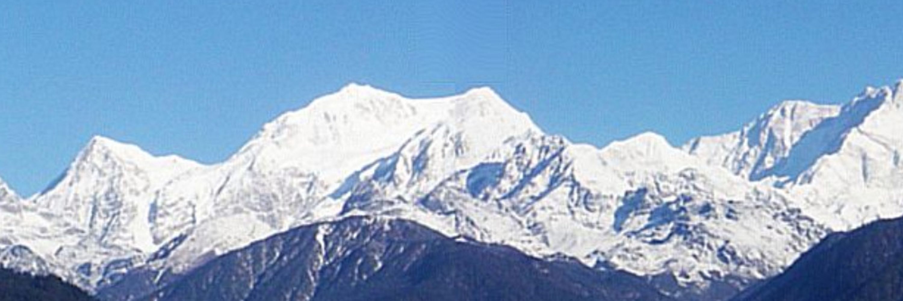 Shahrzaad Parekh