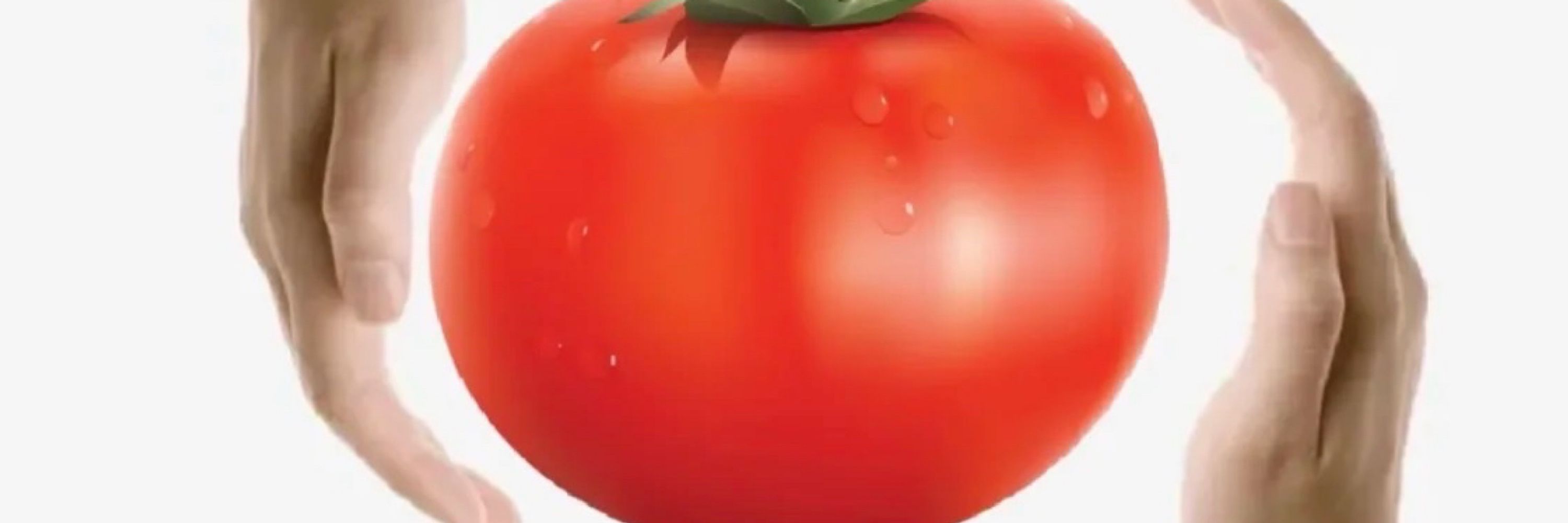 tomato