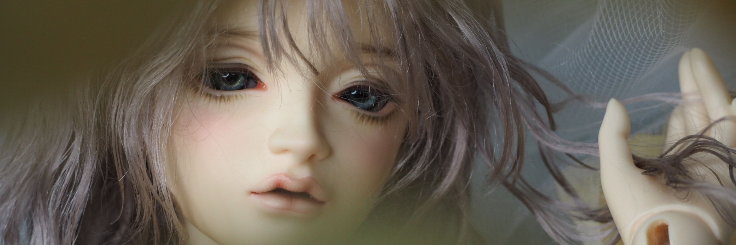 真實之眼eyes of truth