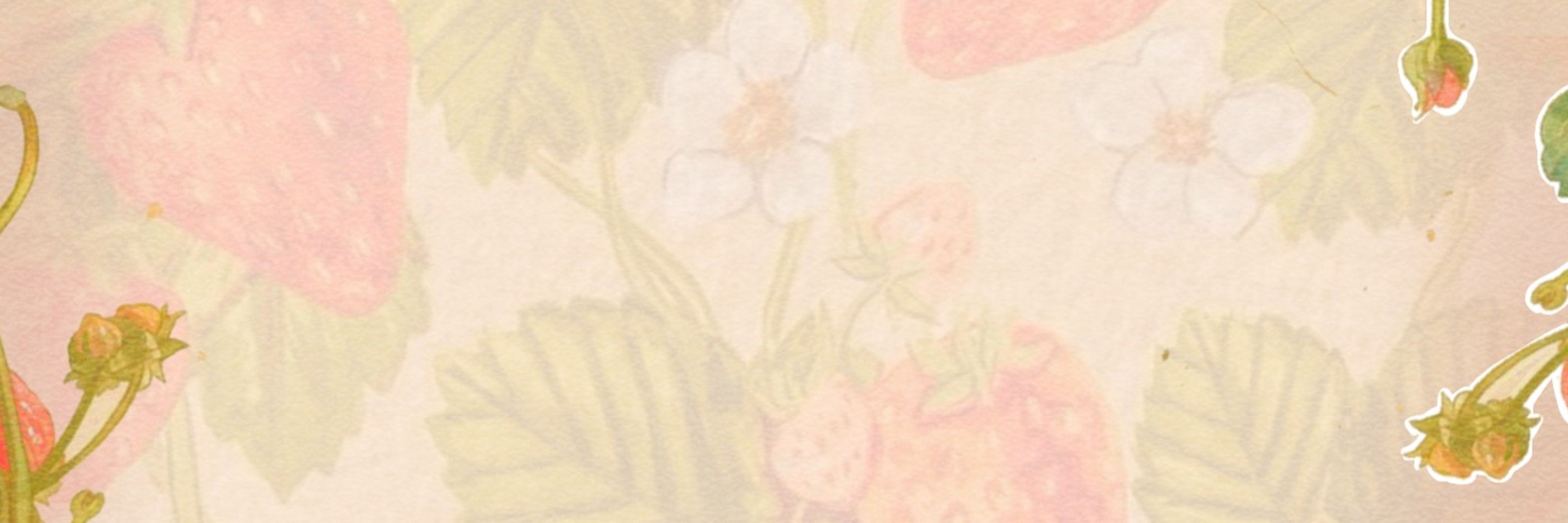 ☆ Lily's Creations ☆