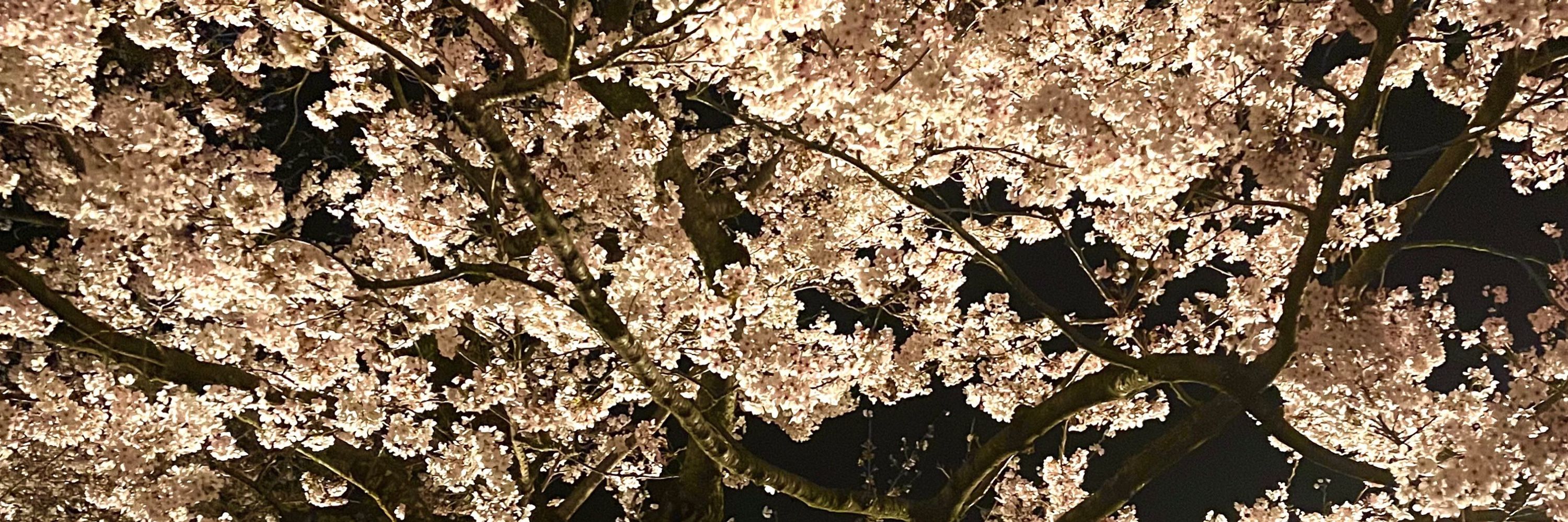 山田太郎