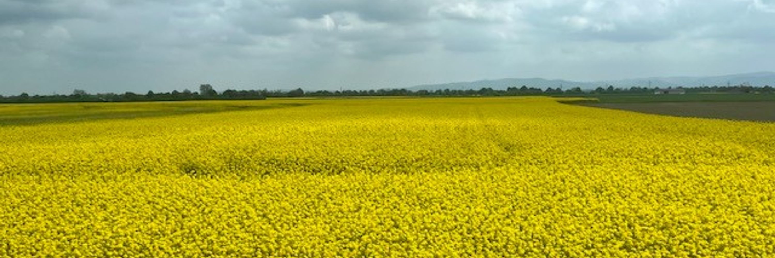 NouvelleAcadie