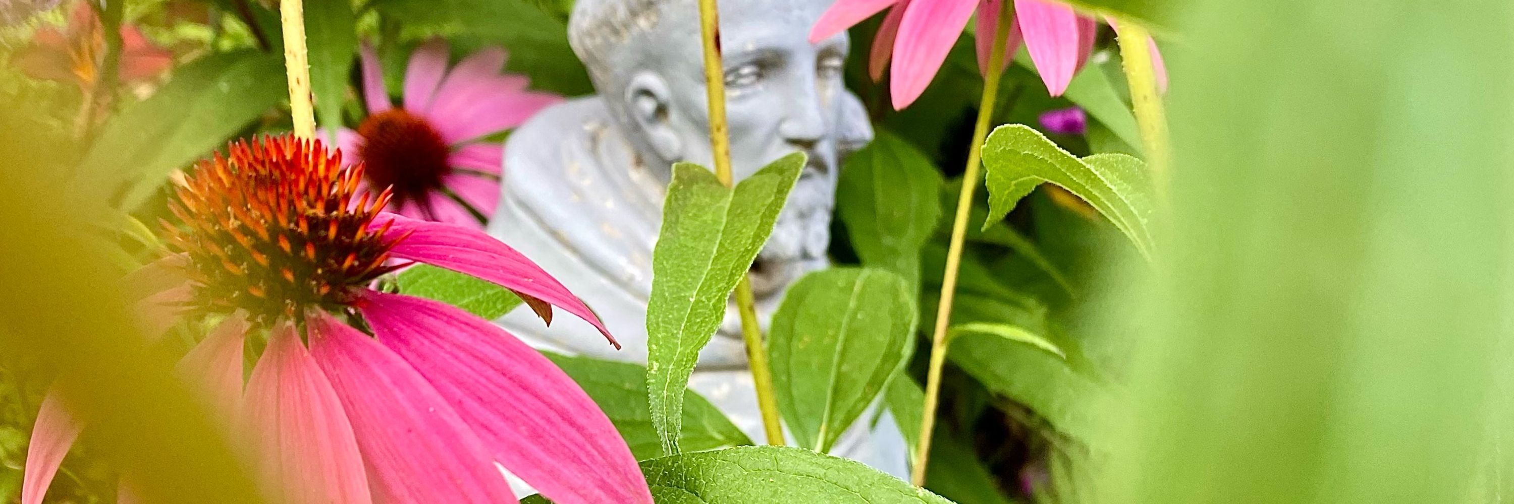 Hope