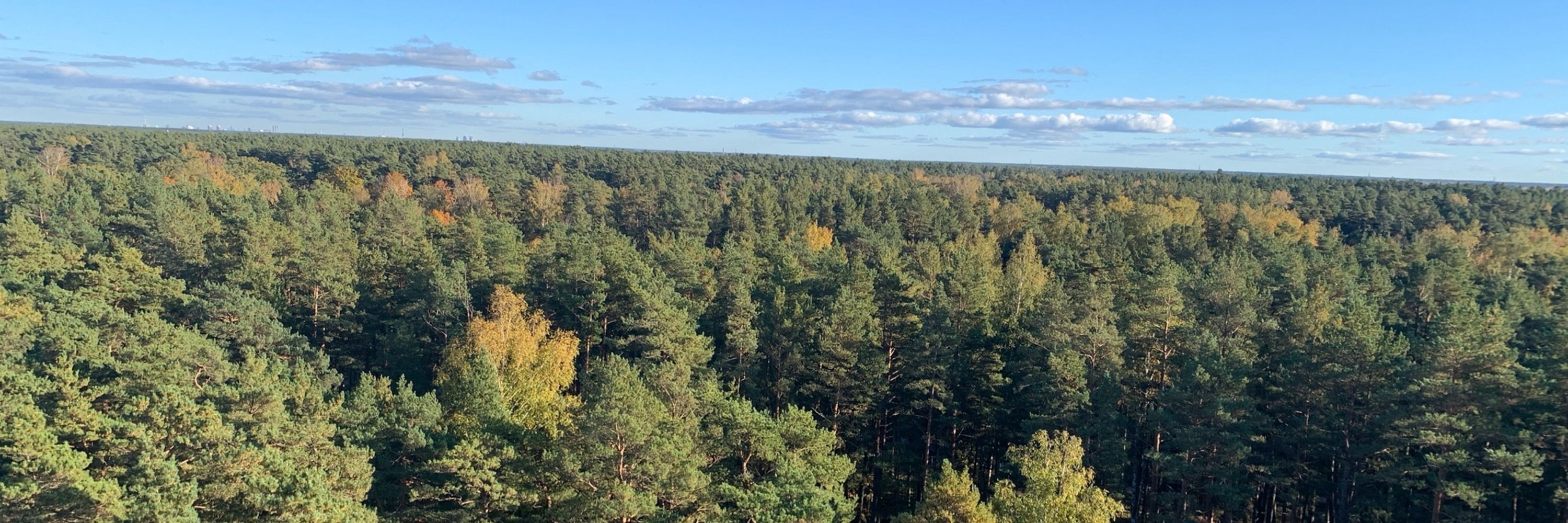 🍁 Elīna Elfa 🍁