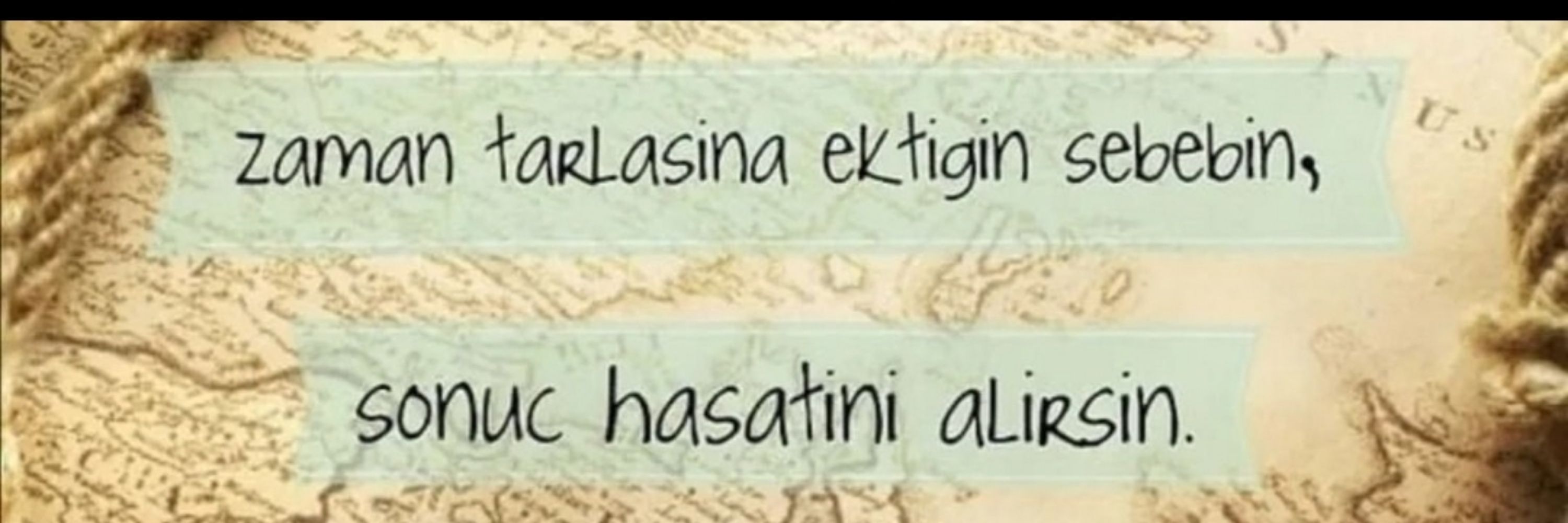 Miyase Dönmez