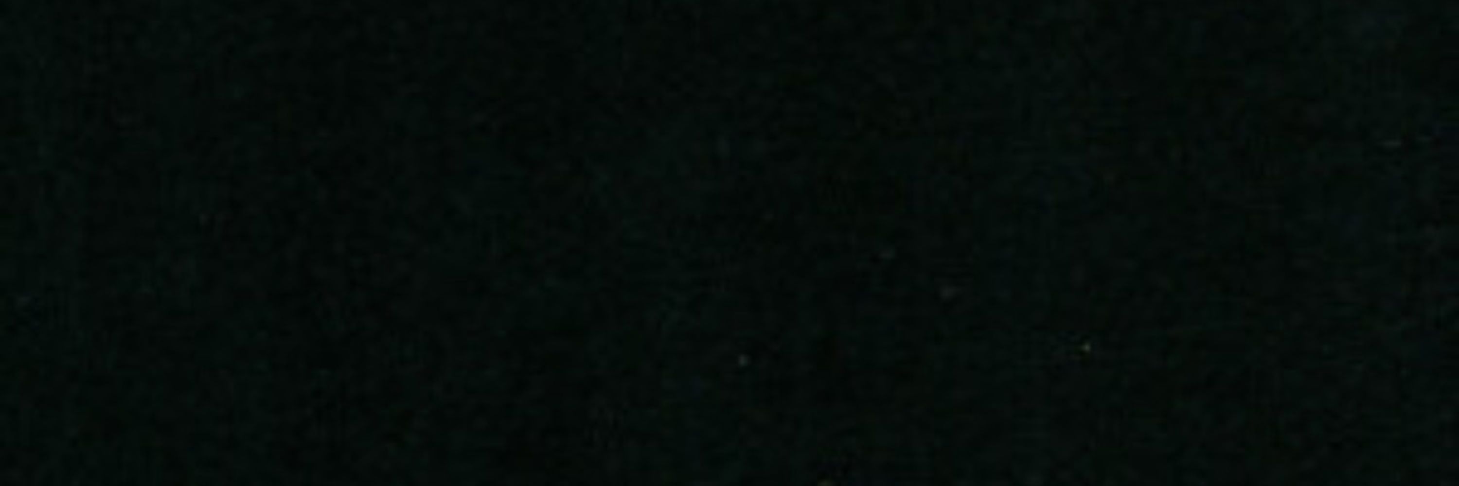BlackbirdAI