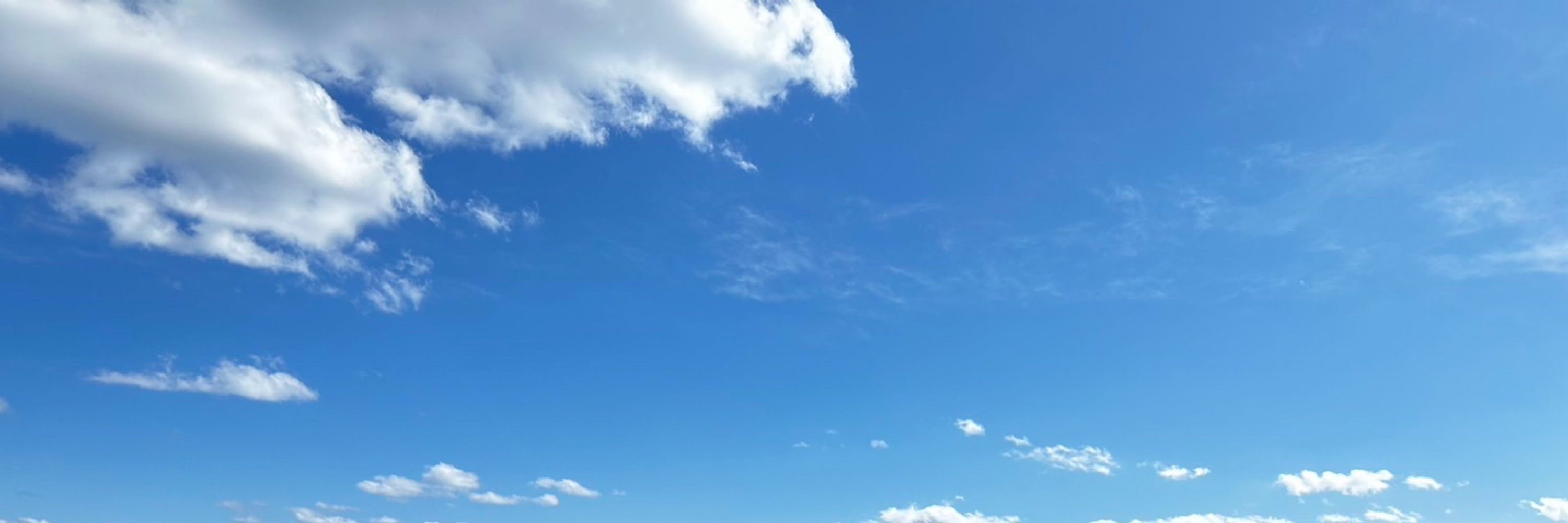てぃぴ