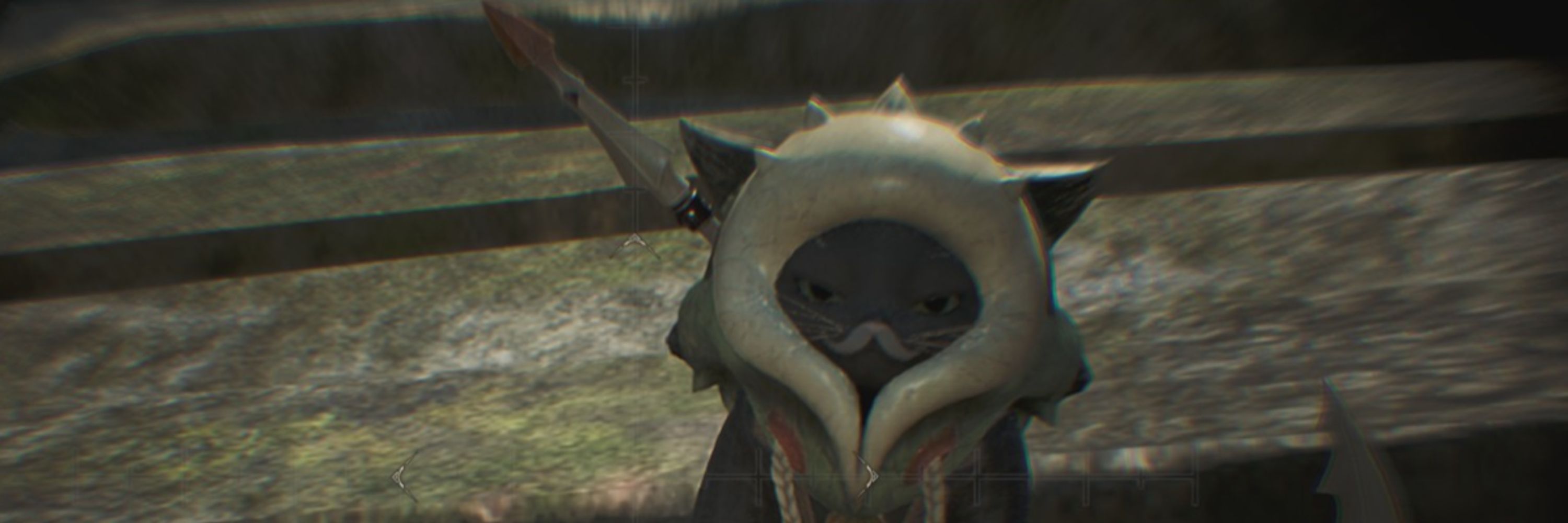 HSFSoup