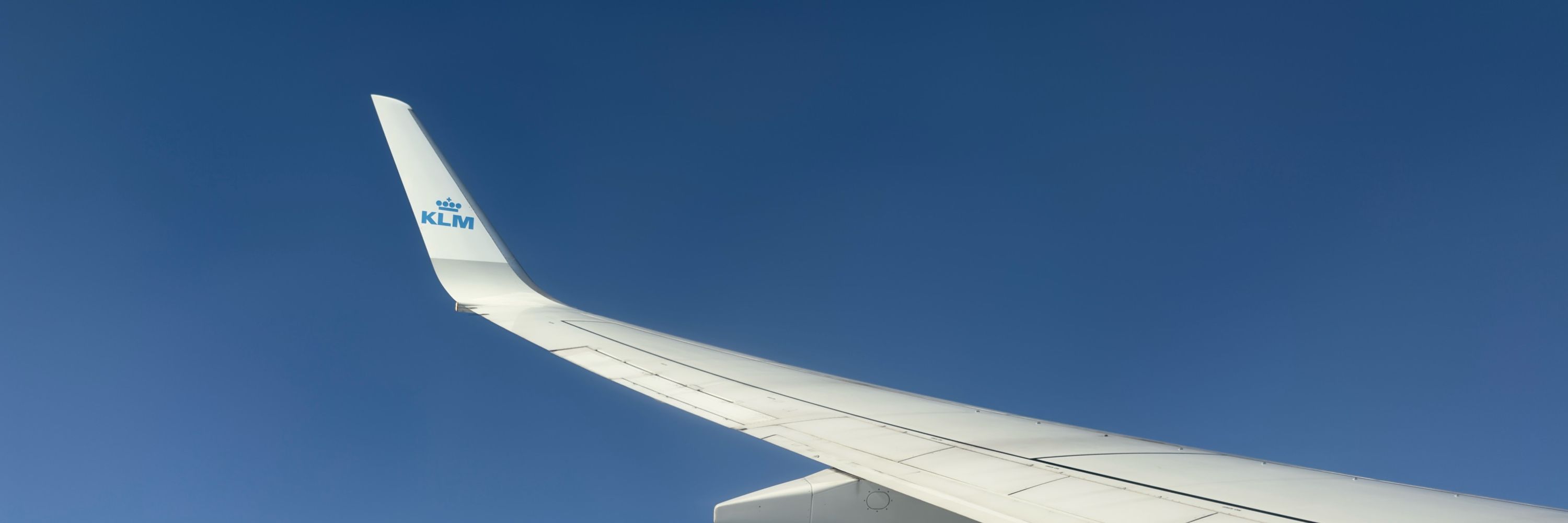 Aerosopuli