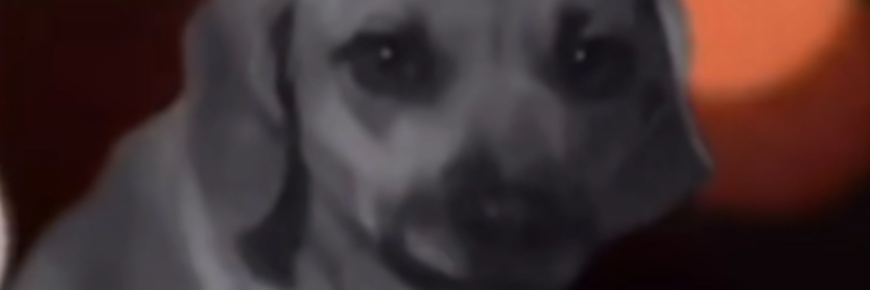 Eletrolux