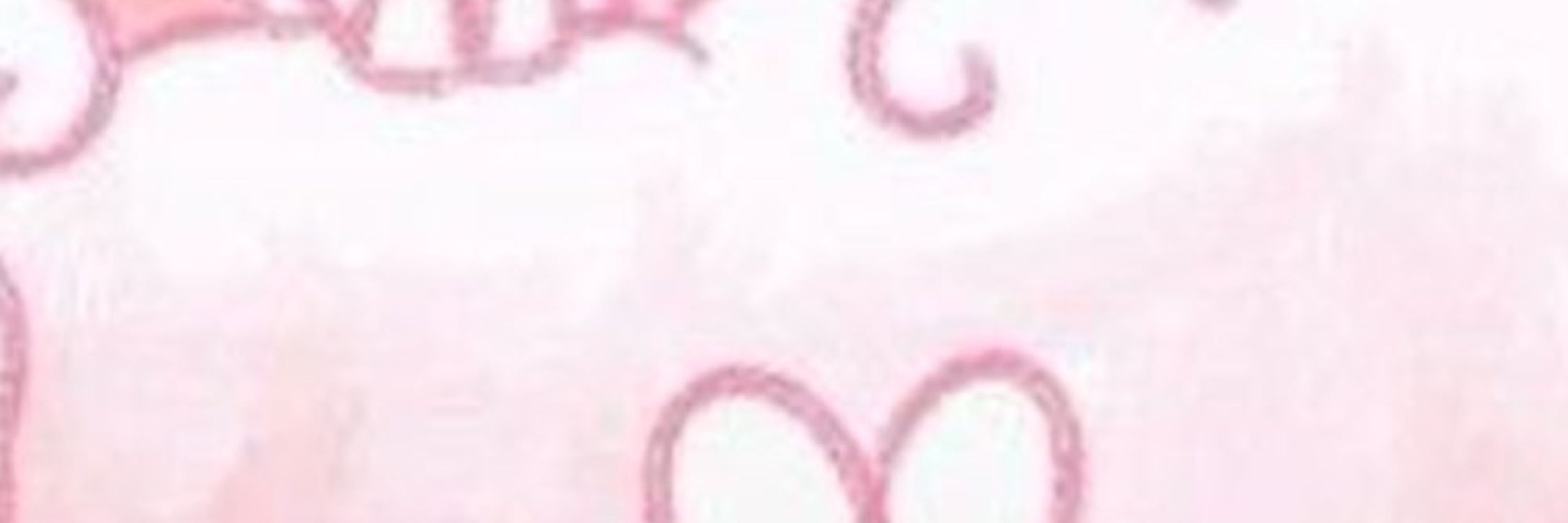 ✦ Ashley ✦