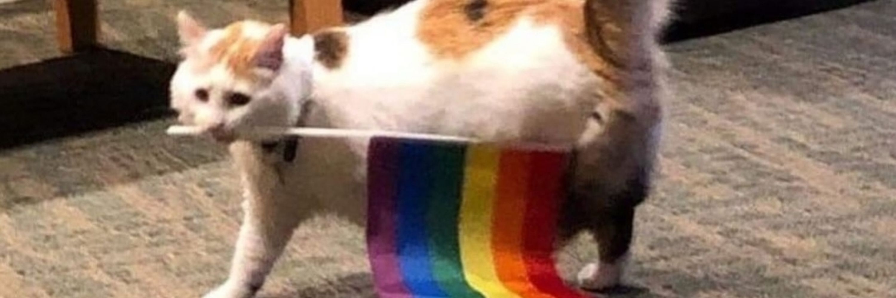 ju