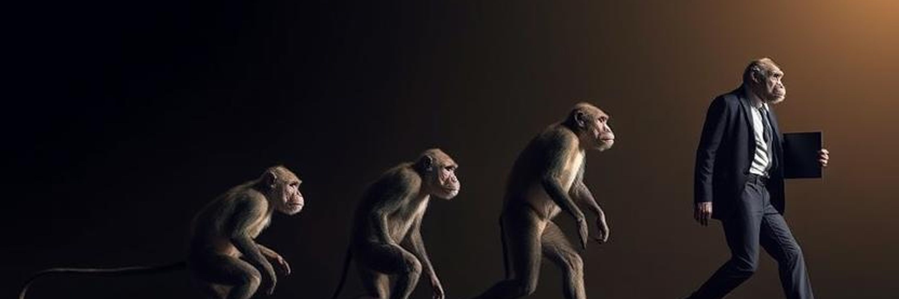 Scott the Monkeyman