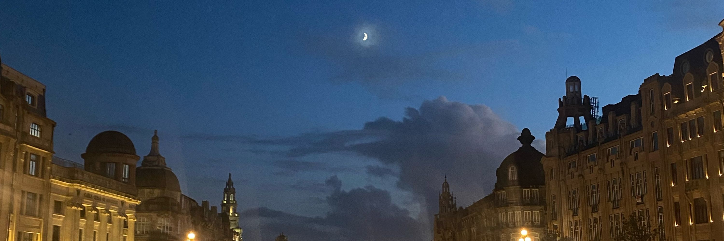 🐈‍⬛🌙