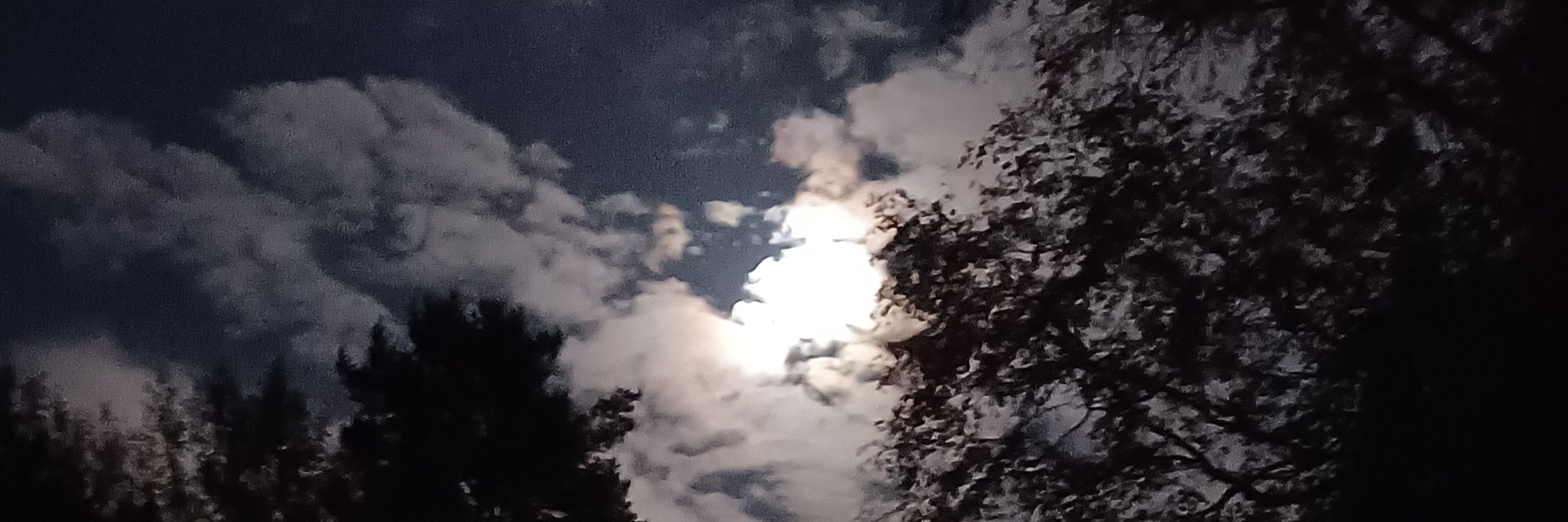 Dusk