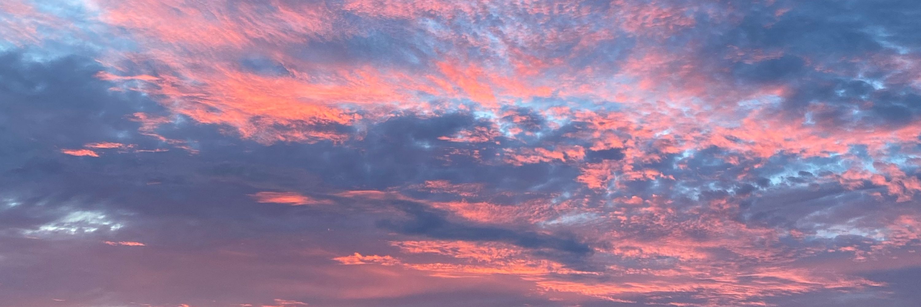 HopelessSkyfall