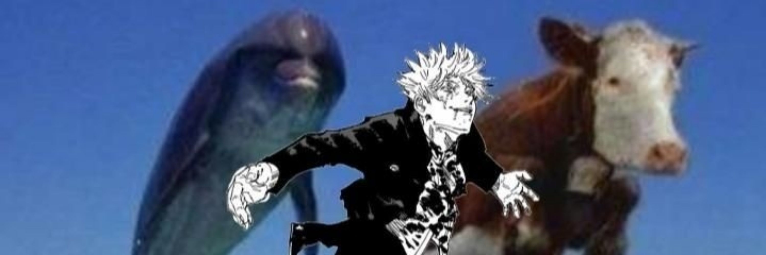 Gozo do gojo