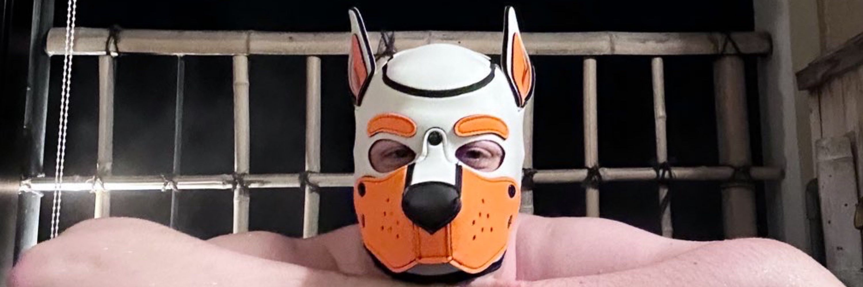Mir