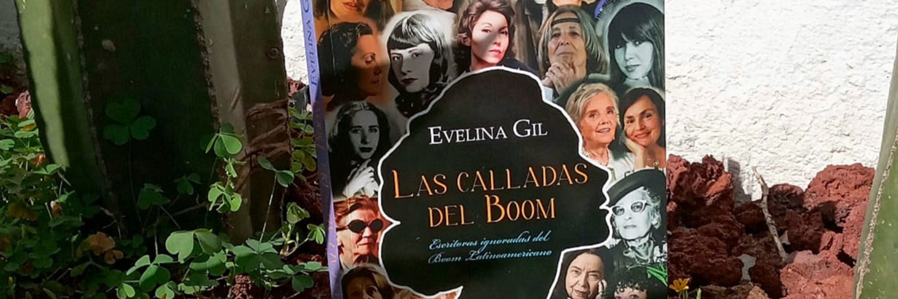 Evelina Gil 😹