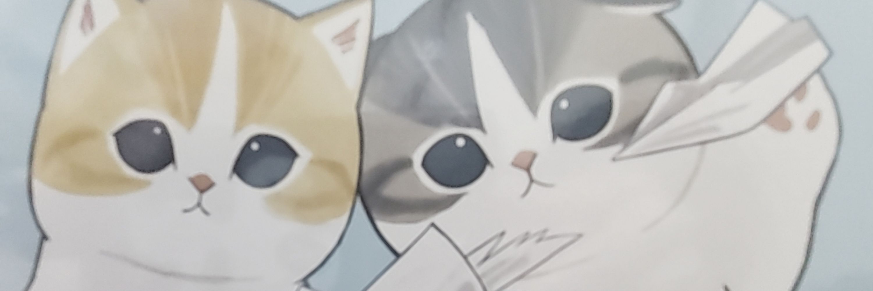 ___
